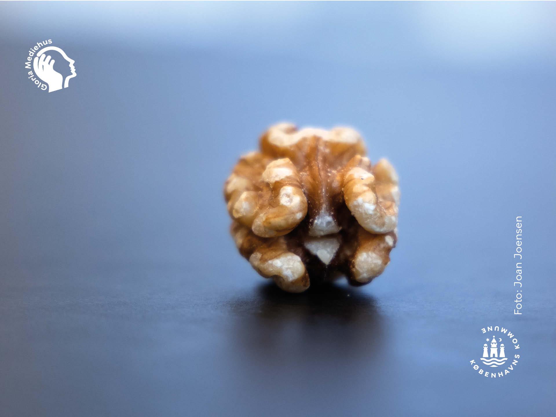 Gloria magasinet marts 2026 tema hjernen